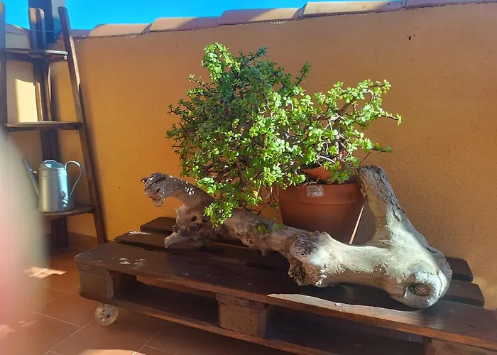 Volveremos - Sea Views Penthouse Apartment Fuengirola